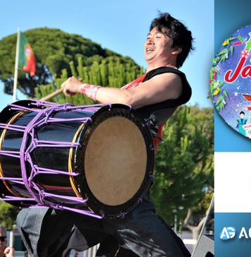 9ª Festa do Japão