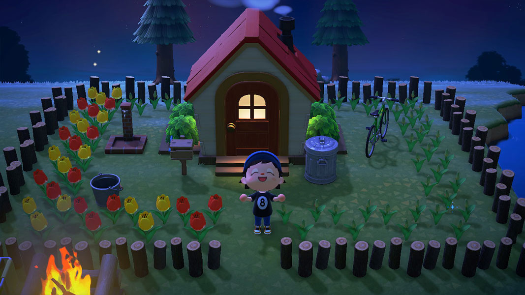 Animal Crossing: New Horizons