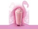 Ruby Flamingo Frappuccino