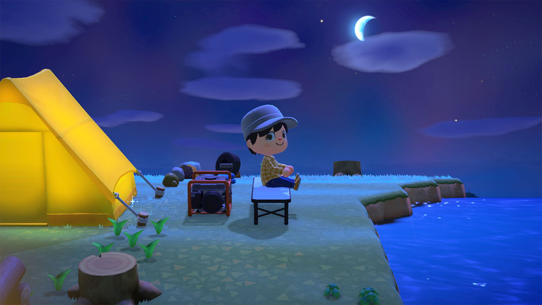 Animal Crossing: New Horizons