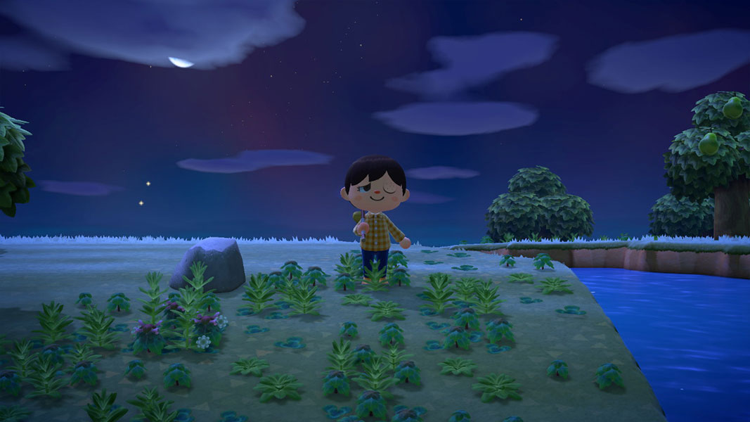 Animal Crossing: New Horizons