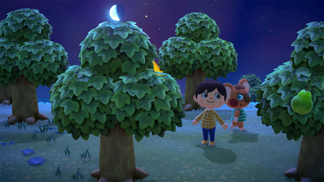 Animal Crossing: New Horizons