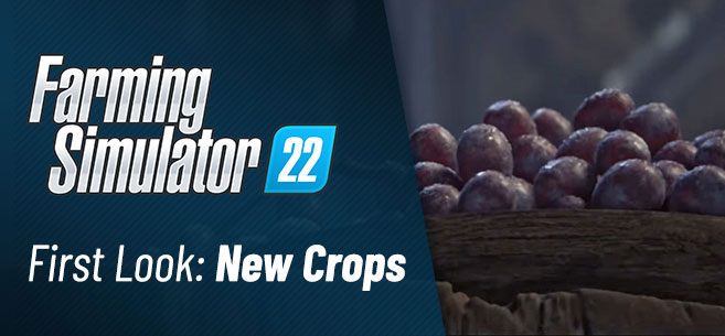 Farming Simulator 22