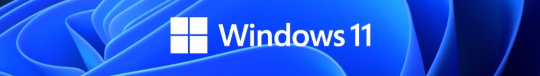 Windows 11