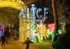 “Alice in Magical Garden” no Jardim Botânico do Porto