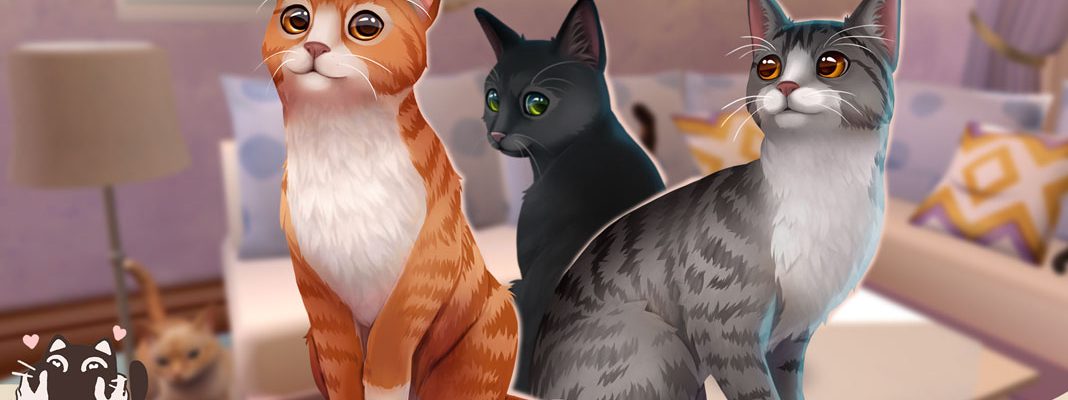 Cat Rescue Story