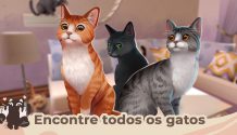 Cat Rescue Story