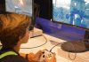 Geração Alpha e Tecnologia