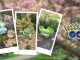 Pokemon Go