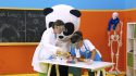 Canal Panda lança programa de ciência para crianças com estreia marcada para 27 de outubro Panda Ciência: o Grande Desafio