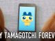 My Tamagotchi Forever